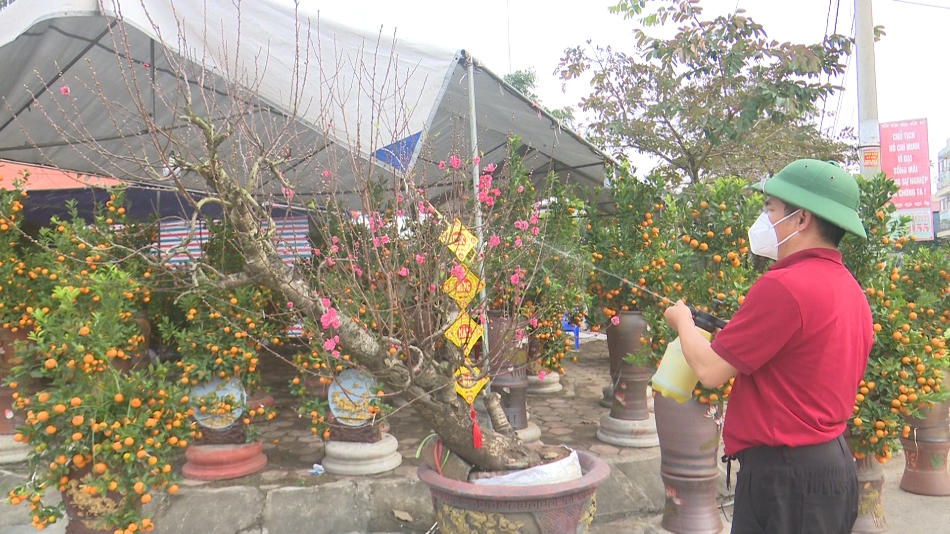 Chợ hoa ngày tết ở Kim bảng.jpg