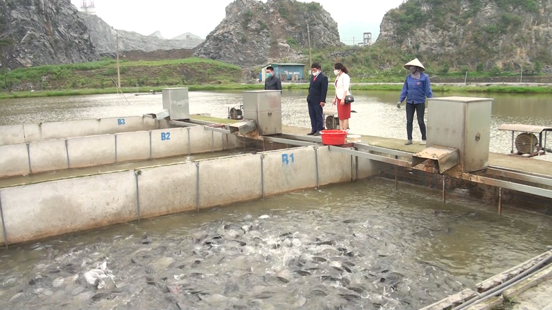 Khởi nghiệp thành công với mô hình tạo sông trong ao  Khoa học ứng dụng   Vietnam VietnamPlus