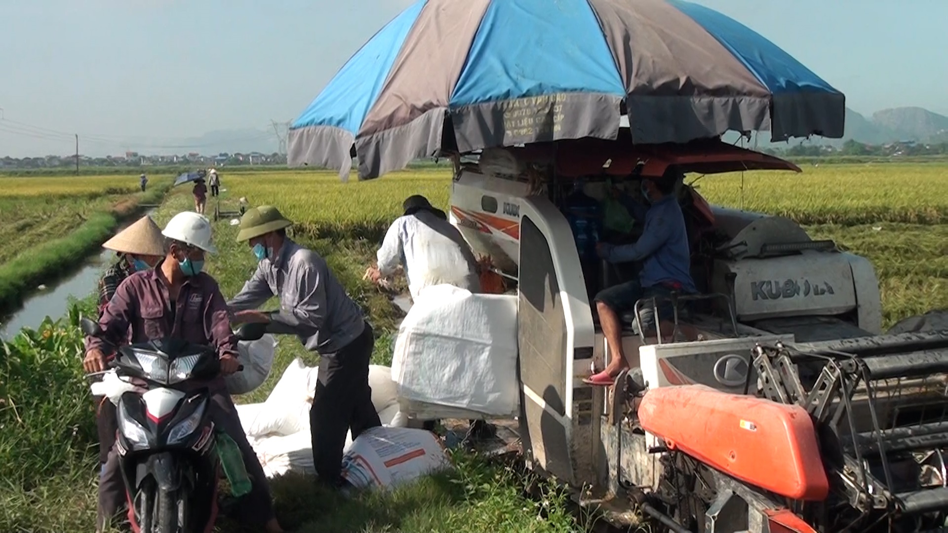 Nông dân xã Nguyễn Úy thu hoạch mô hình liên kết sản xuất lúa hàng hóa.jpg