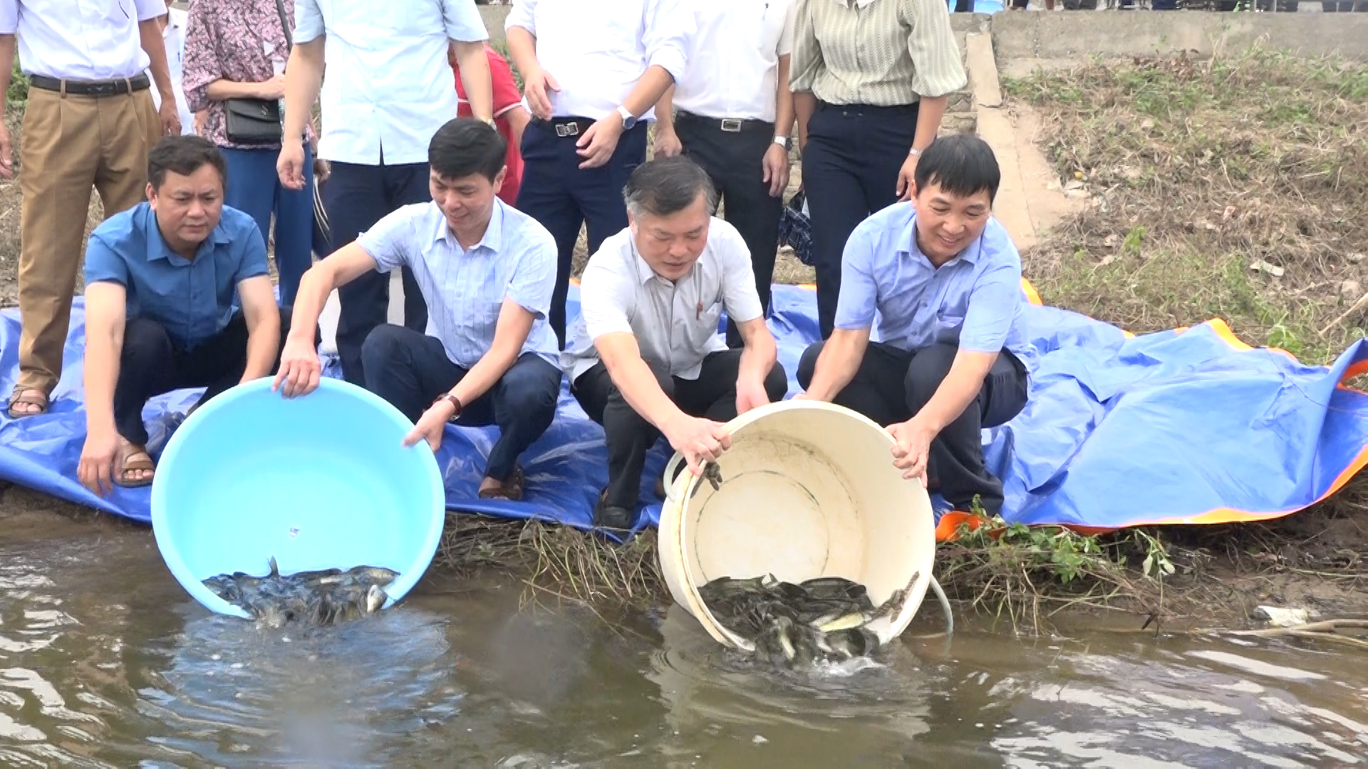 chương trinh thả giông tai tao nguôn lơi thuy san năm 2024..- lđ sơ NN, lđ huyên kim bang thả cá giông tai bên nươc chua ba đanh.jpg