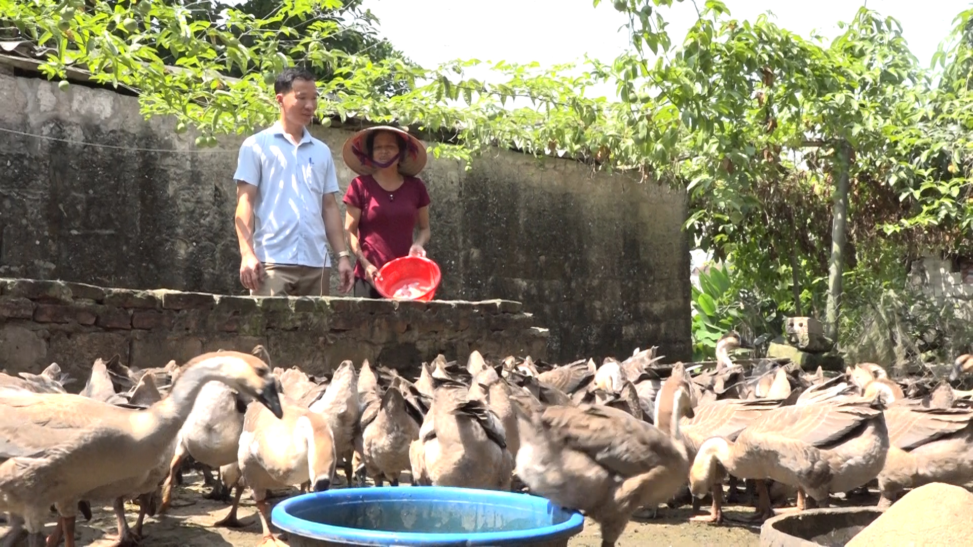 hôi nông dân kim bang - hôi viên nông dân cac xa, tt tham gia phat triên kinh tê.jpg